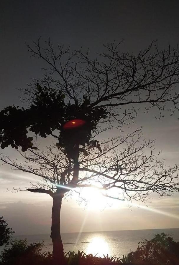 Casa Cumuru Cumuruxatiba Bagian luar foto