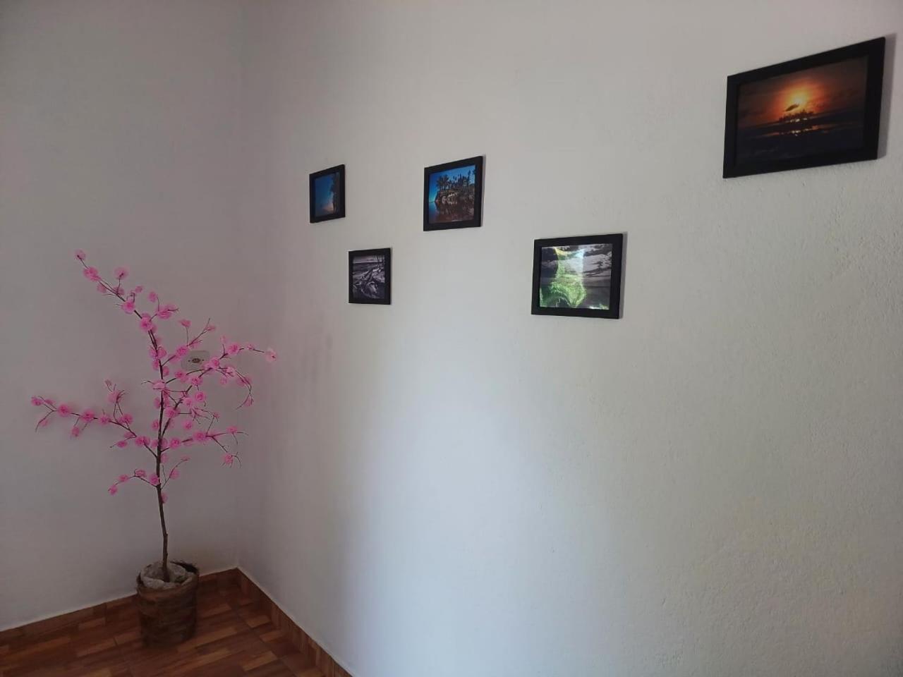 Casa Cumuru Cumuruxatiba Bagian luar foto